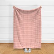 Gingham Pattern - Coral and White