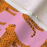 Pink Cheetah