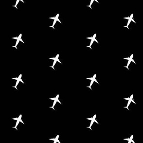 Night planes