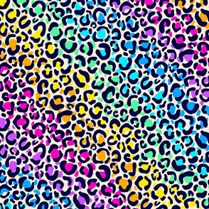 Bold rainbow Leopard print large 