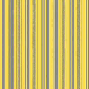 Pantone 2021 stripes