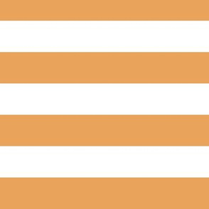 Large Butterscotch Awning Stripe Pattern Horizontal in White