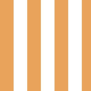 Large Butterscotch Awning Stripe Pattern Vertical in White