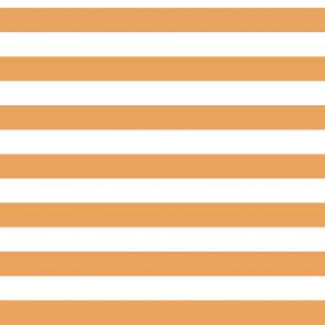 Butterscotch Awning Stripe Pattern Horizontal in White
