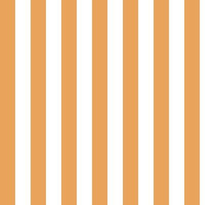 Butterscotch Awning Stripe Pattern Vertical in White