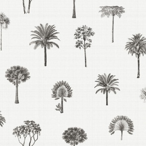 Linen Palms