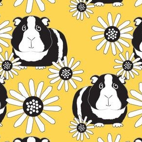 large black and white guinea pigs and daisies on yellow