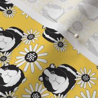 small black and white guinea pigs and daisies on yellow