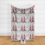 Be My Valentine Gnomes Boys on Shiplap 18 inch square