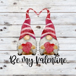 Be My Valentine Gnomes Boys on Shiplap 18 inch square