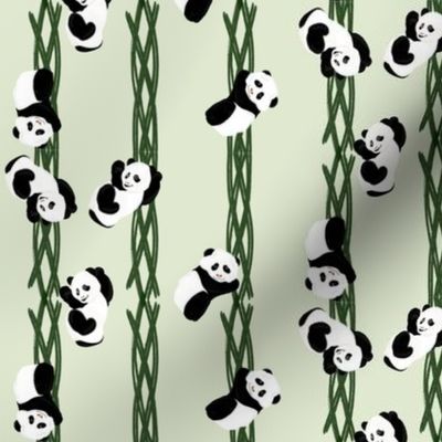 Climbing Pandas - Green