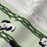 Climbing Pandas - Green