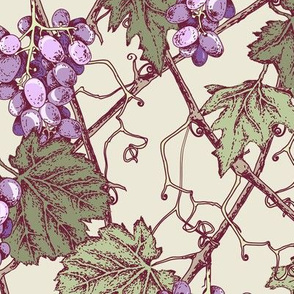 Grapevine  Grape vines, Grape wallpaper, Grape drawing