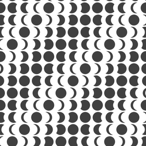 Moon Phases