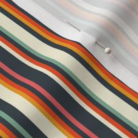 Allsorts stripe, multi coloured stripe 