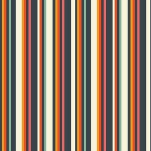 Allsorts stripe, multi coloured stripe 