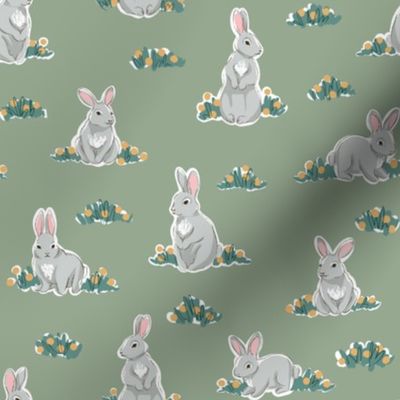Spring rabbits on sage