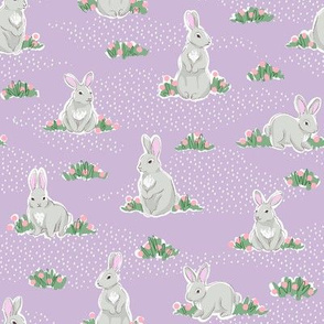 Spring rabbits on purple