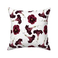 Dark burgundy flowers on white, dark gothic florals, morning glow