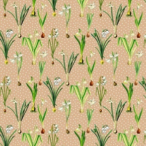 Snowdrops and dots on beige ground