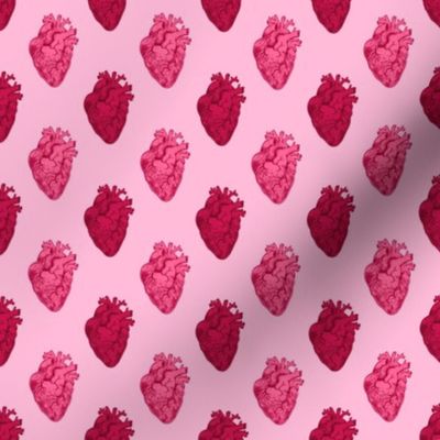 Anatomical Valentine Hearts Pink 1/2 Size