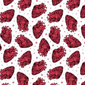 Anatomical Red Hearts Scatter on White 1/2 Size