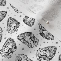 Anatomical Hearts Scatter White 1/2 Size