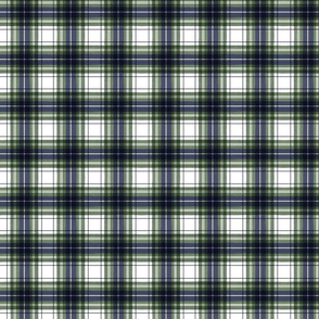 Green and blue plaid small scale