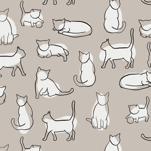 Cats shapes