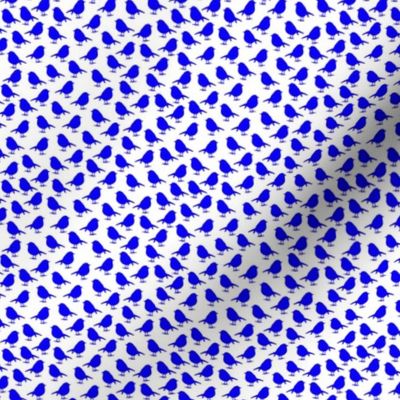 Micro Birds - high densitiy - royal blue on white background