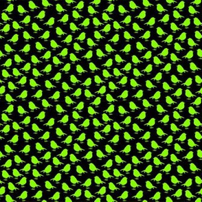 Micro Birds - high densitiy - neon green on black bachground