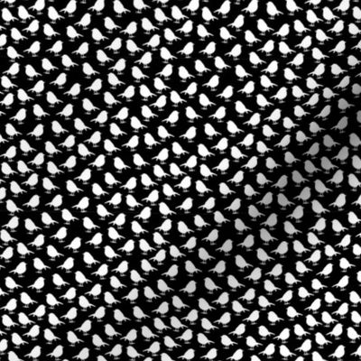 Micro Birds - high densitiy - white on black background