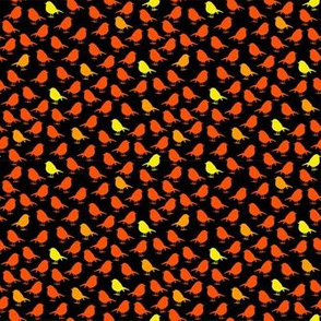 Micro Birds - high densitiy - red, orange and yellow on black background