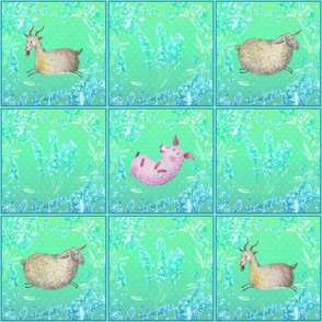 6" medium CUTE FARM ANIMALS CHECKERBOARD FLWRHT