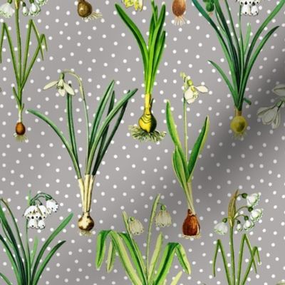 Snowdrops and dots on grey ground
