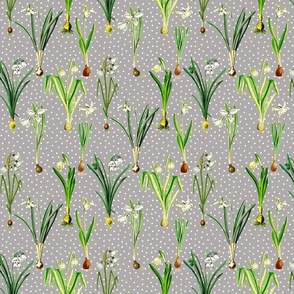 Snowdrops and dots on grey ground