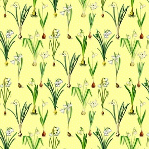 Snowdrops and dots on vanilla yellow ground