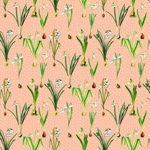 Snowdrops and dots on peach ground