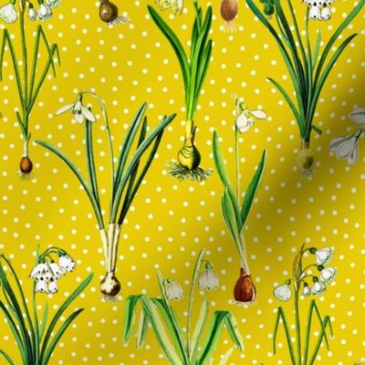 Snowdrops and dots on dark yellow ground