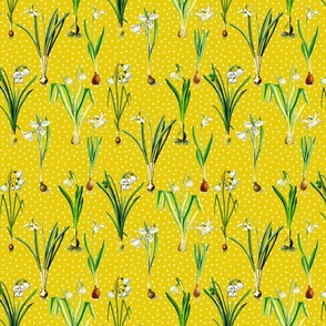 Snowdrops and dots on dark yellow ground
