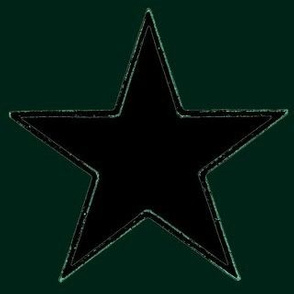Star-Outline black on green-