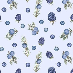 Juniper and berries  on blue