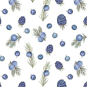 Juniper and berries on white