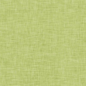 Mossy Green Linen Solid | AK-17