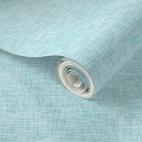 Sky Blue Linen Solid | AK-21