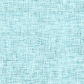 Sky Blue Linen Solid | AK-21