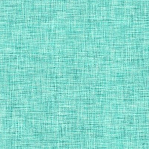 Teal Linen Solid | AK-18