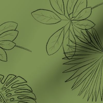Tropical Leaf Outlines on Soft Green - Large