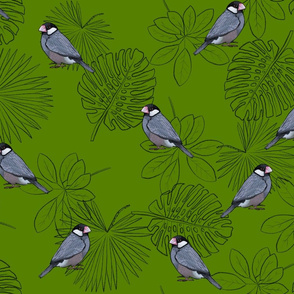 Java Sparrows and Leaf Outlines on Bright Green - Large