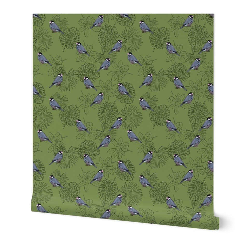 Java Sparrows and Leaf Outlines on Soft Green - Large